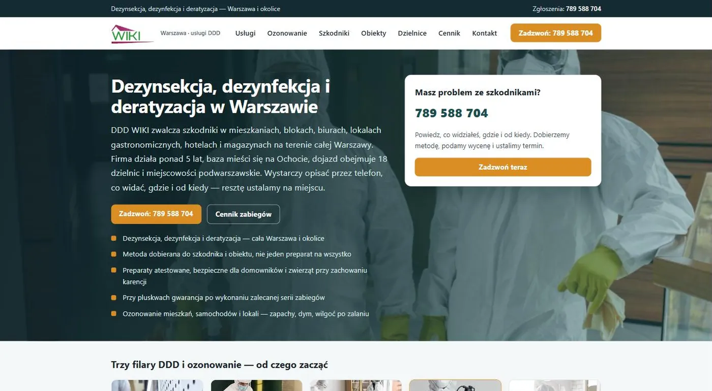 Screenshot of the site: DDD WIKI